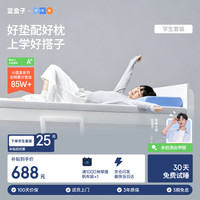 蓝盒子 小蓝垫枕头组合 0.9*1.9米