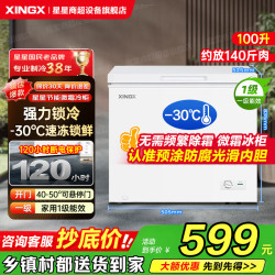 星星 冰柜家用小型100/200/300升速冻冷藏冷冻冰箱两用小冰柜一级能效减霜冷柜旗舰店以旧换新 迷你冰箱丨PCM内胆丨一级能效减霜 100升