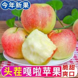 龙多鲜 冰糖心 富士苹果 整箱5斤精选 果径80-90MM净4.5斤