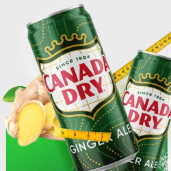 可口可乐 CANADA DRY干姜味汽水 330ml