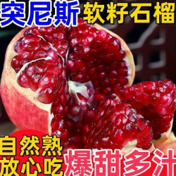 四川会理大凉山应季会理软籽石榴纯甜无酸新鲜可口老少皆宜 5斤装300g