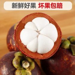 优选 顺丰冷链泰国进口山竹大果新鲜当季水果鲜甜多汁果肉饱满好吃