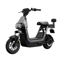 首驱 Yz1 citi 48V铅酸电池 电动自行车