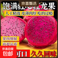 京喜加 甄选广西现摘红心火龙果金都一号新鲜水果超甜爆汁 单果200g+