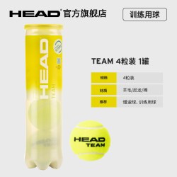 海德 网球比赛训练用球3粒罐装黄金球TOUR XT单人训练网球