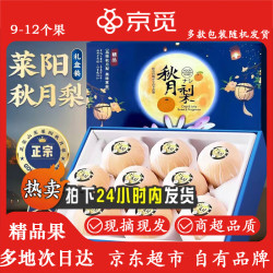 京觅 秋月梨 莱阳秋月梨 净重8.5斤  单果350g起 中秋水果 源头直发