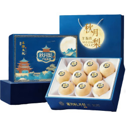 特大果王 山东 秋月梨 2.5斤装 单果270-500克+
