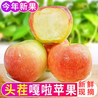 京满福 新鲜嘎啦苹果 脆甜生鲜水果 山西时令节日送礼 富士苹果 整箱10斤 单果70-80mm 净重8.5斤