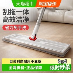 好媳妇 拖把家用一拖净免手洗带刮条懒人平板拖地吸水除尘墩布