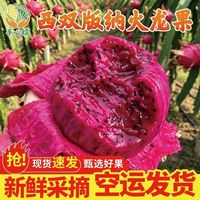 云南西双版纳红心火龙果现摘现发彩箱装单果200g-400g
