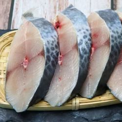 新鲜鲅鱼块1斤