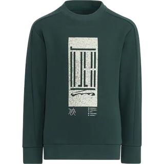 adidas 春秋款大童户外运动跑步训练休闲舒适卫衣日常百搭上衣