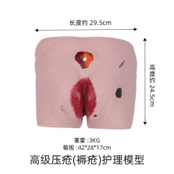 医学训练阶段褥疮护理模型养老护理教学模型四个不同阶段褥疮护理训练模型压疮护理训练模具模拟人医学教学