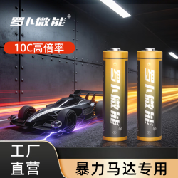 罗卜微能 升级10C倍率四驱车专用  5号充电电池*8节(无充电器)