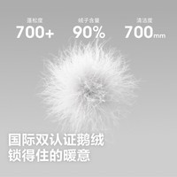 波司登 B260135051 鹅绒排骨条防风锁温 极地灰 M 男士羽绒服
