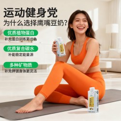 星植代StarPlants鹰嘴豆植物奶原味豆奶运动蛋白饮料