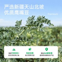 星植代StarPlants鹰嘴豆奶原味营养豆奶植物蛋白饮料  两箱  24盒