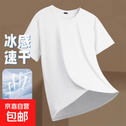 京喜 夏季冰丝短袖T恤透气速干衣冰感大码运动速干网眼TSJ 白色 4XL