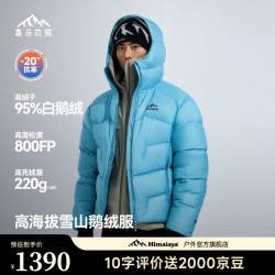 喜马拉雅 鹅绒服800蓬95绒-20°C雪山攀登专业户外防风冰雪鹅绒羽绒服 幻影黑 800蓬95鹅绒-