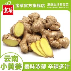 宝菜 3/5斤云南小黄姜生姜新鲜现挖带泥发蔬菜直发月子姜