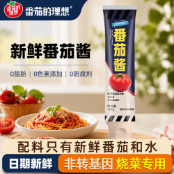 番茄的理想 新疆番茄酱罐头160g 0添加0脂肪蘸薯条调味品