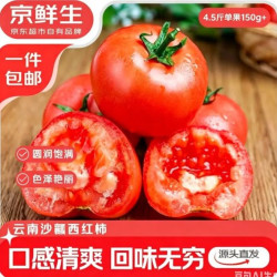 京鲜生 云南红宝石沙瓤番茄净重4.5斤特大果150g+ 水果西红柿源头直发