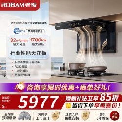 老板 真平嵌顶侧双吸 32风量1700Pa 抽吸油烟机家用