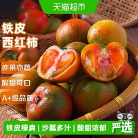 移动端、88VIP：京运达 丹东铁皮西红柿 新鲜水果番茄