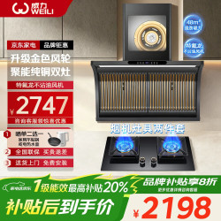 威力 抽油烟机家用+聚能纯铜双灶-天然气
