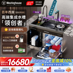 西屋电气 西屋集成水槽洗碗机超声波果蔬清洗家用双层上下分层洗嵌入式碗柜14套洗碗机一体机 JCX-S9L PL