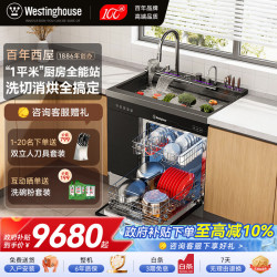 西屋电气 西屋集成水槽洗碗机超声波果蔬清洗家用双层上下分层洗嵌入式碗柜14套洗碗机一体机 JCX-S9L 旗舰