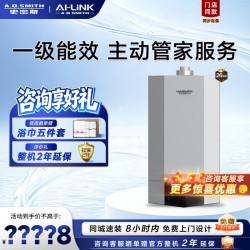 A.O.SMITH 燃气壁挂炉LL1PBD26-D8  一级能效冷凝采暖炉  恒