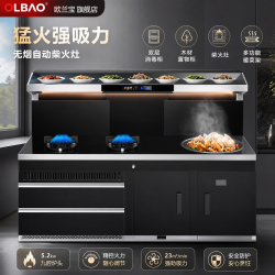 欧兰宝 柴火灶集成灶家用一体式灶台蒸烤一体机油烟机多功能农村燃气灶无烟灶台电磁炉水槽灶具 消毒柜款 灶