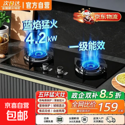 华蒂星 燃气灶双灶一级能效天然气液化气台嵌两用熄火保护  自行安装