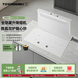TOYODENKI 日本東洋）全隐藏式油烟机自动升降抽油吸烟机家用厨房别墅高端全嵌入式中岛