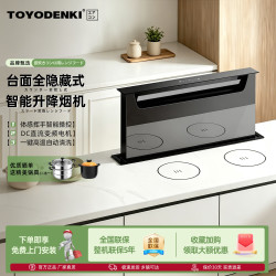 TOYODENKI 日本東洋）全隐藏式油烟机自动升降抽油吸烟机家用厨房别墅高端全嵌入式