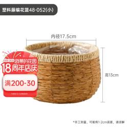 海蒂的花园 文心兰蝴蝶兰盆栽绿植盆景梦香兰塑料藤编花篮