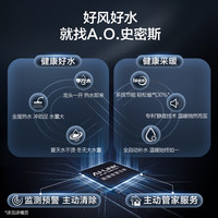 A.O.SMITH 燃气壁挂炉LL1GBQ-E11 家用采暖热水天然气壁挂炉 零冷水型一级能效冷凝炉