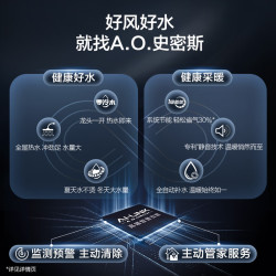 A.O.SMITH 燃气壁挂炉LL1GBQ-E11 家用采暖热水天然气壁挂炉 零冷水型一级能效冷凝炉