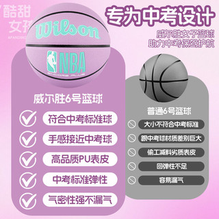 Wilson 威尔胜 ENCORE PLUS 绝尘系列 香芋紫 6号篮球