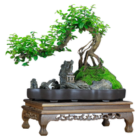 瀚林怡景 小叶雀梅盆景 山水假山造型 青花瓷盆+木座