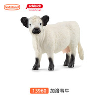 思乐 Schleich 加洛韦牛 仿真动物模型 儿童认知摆件