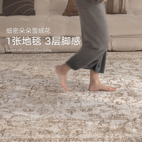 大江 免洗易打理 200cm*300cm 地毯