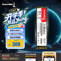 长城 GW1000系列  SATA M.2 固态硬盘 256GB