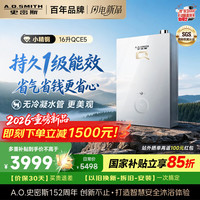 A.O.SMITH JSLQ28-QCE5 一级能效无冷凝水管 16L 天然气 燃气热水器