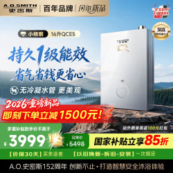 A.O.SMITH JSLQ28-QCE5 一级能效无冷凝水管 16L 天然气 燃气热水器