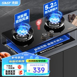 先科 燃气灶天然气煤气灶双灶