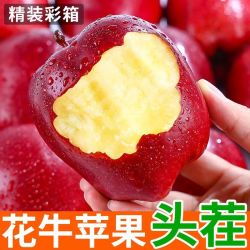 御品一园 花牛苹果甘肃天水新鲜水果粉面刮泥黑苹果礼盒3/4.7/8.7斤