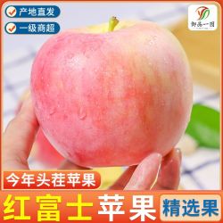 御品一园 新鲜水果 红富士苹果