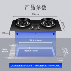 现代 JZT-B4T 5.2kW大火力 天然气 双灶